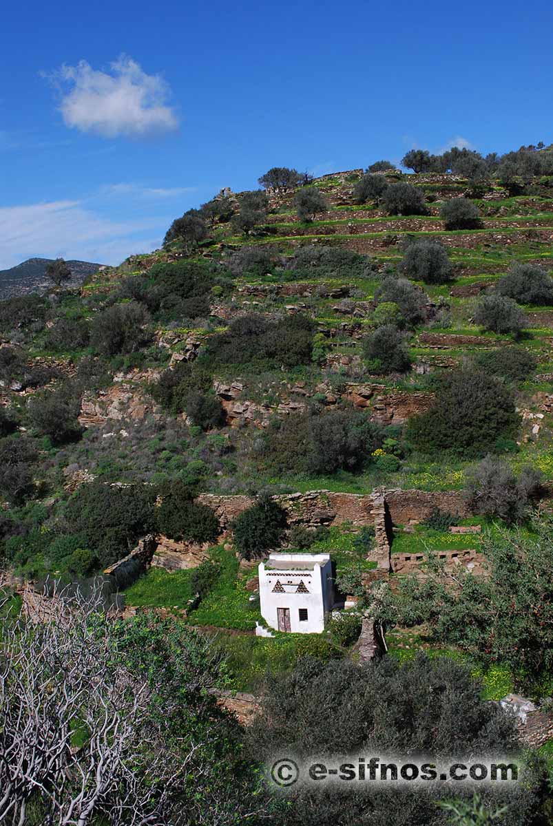 Landskap med duvslag på Sifnos