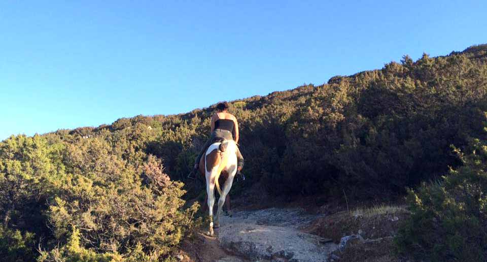 Ridning längs lederna på Sifnos